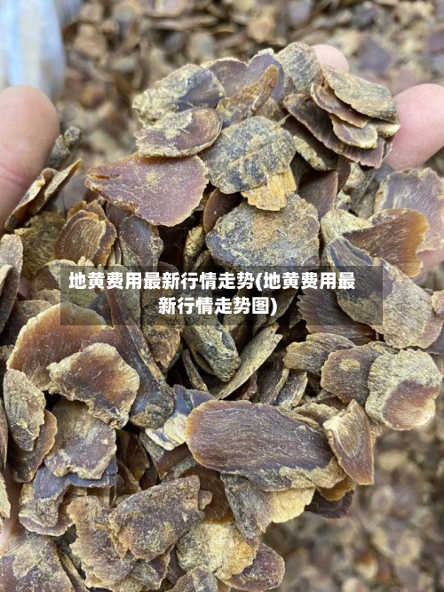 地黄费用最新行情走势(地黄费用最新行情走势图)-第2张图片