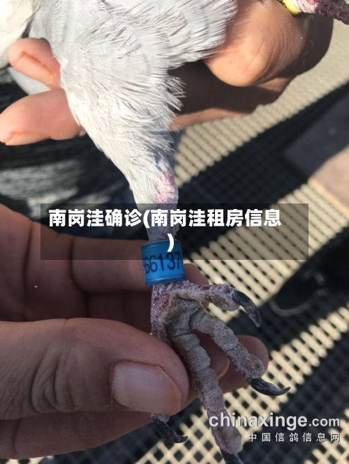 南岗洼确诊(南岗洼租房信息)