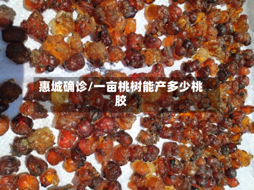 惠城确诊/一亩桃树能产多少桃胶