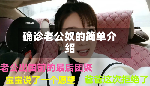 确诊老公奴的简单介绍