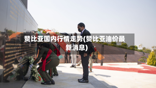 赞比亚国内行情走势(赞比亚油价最新消息)-第2张图片