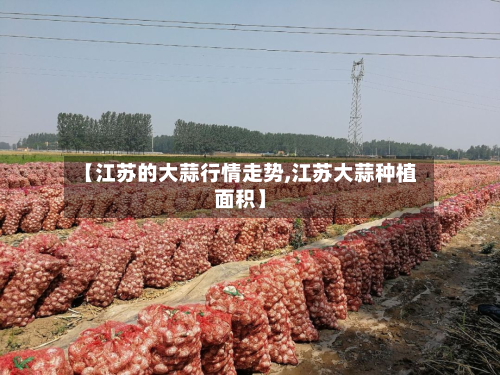 【江苏的大蒜行情走势,江苏大蒜种植面积】