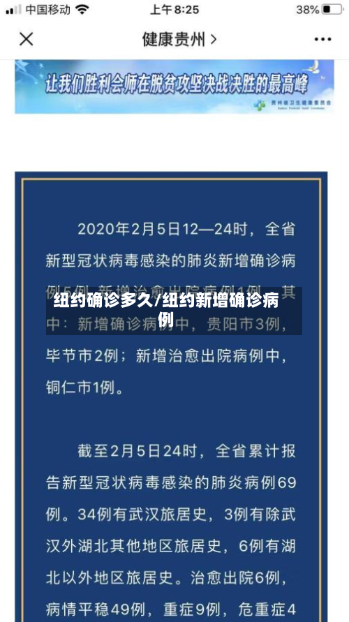 纽约确诊多久/纽约新增确诊病例-第3张图片