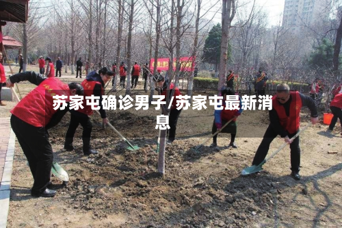 苏家屯确诊男子/苏家屯最新消息-第2张图片