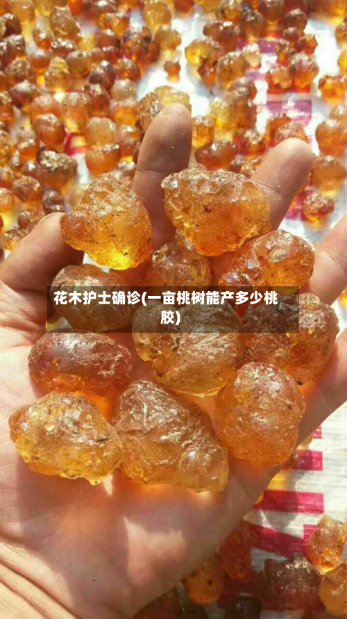 花木护士确诊(一亩桃树能产多少桃胶)