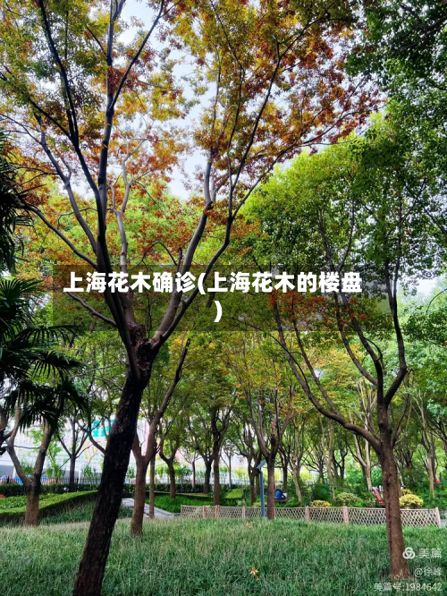上海花木确诊(上海花木的楼盘)