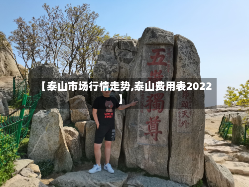 【泰山市场行情走势,泰山费用表2022】-第2张图片