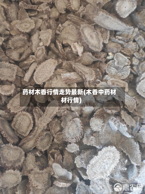 药材木香行情走势最新(木香中药材材行情)-第2张图片