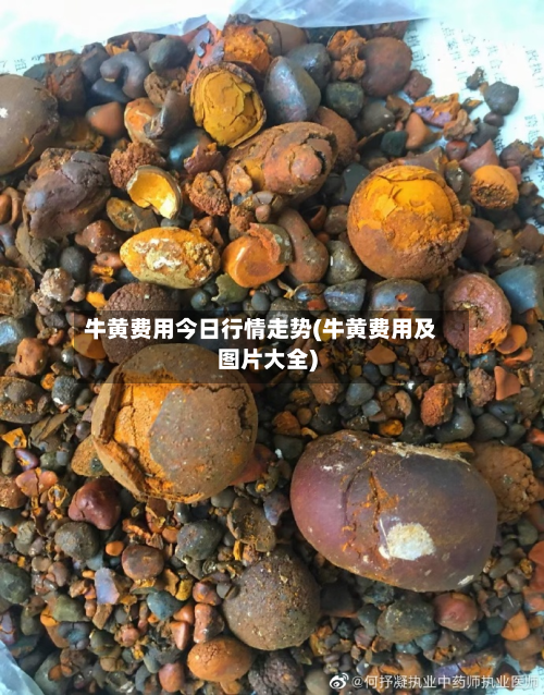 牛黄费用今日行情走势(牛黄费用及图片大全)