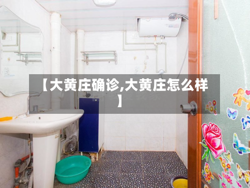 【大黄庄确诊,大黄庄怎么样】-第2张图片