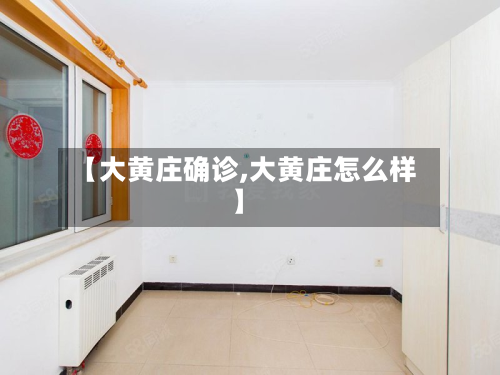 【大黄庄确诊,大黄庄怎么样】-第3张图片