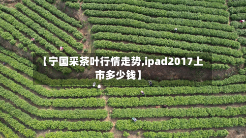 【宁国采茶叶行情走势,ipad2017上市多少钱】
