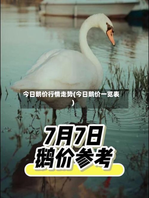 今日鹅价行情走势(今日鹅价一览表)-第2张图片