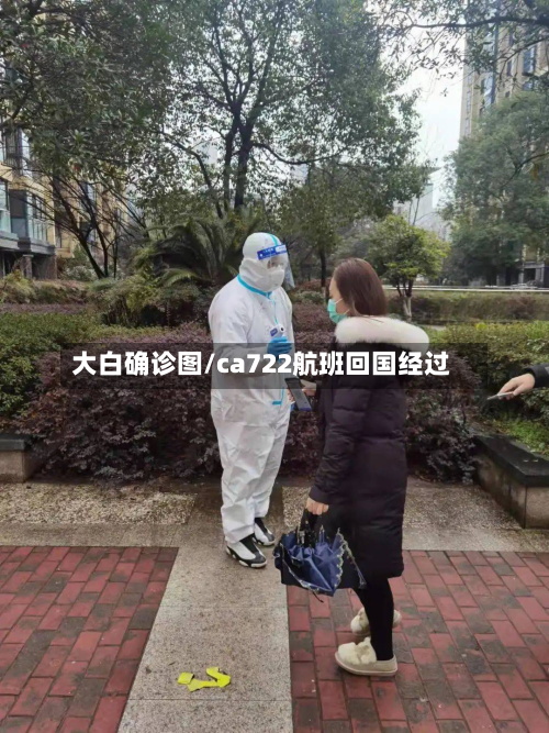 大白确诊图/ca722航班回国经过