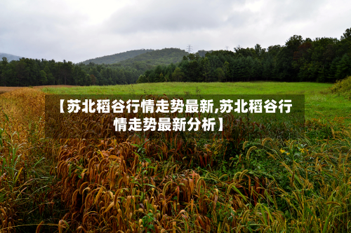 【苏北稻谷行情走势最新,苏北稻谷行情走势最新分析】