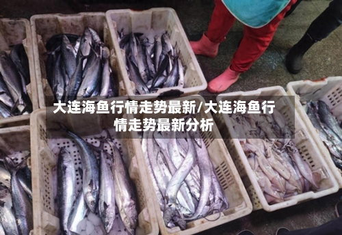 大连海鱼行情走势最新/大连海鱼行情走势最新分析