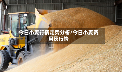 今日小麦行情走势分析/今日小麦费用及行情