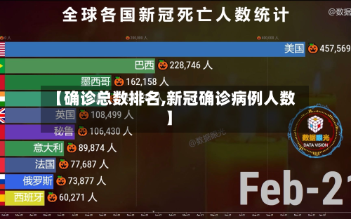 【确诊总数排名,新冠确诊病例人数】