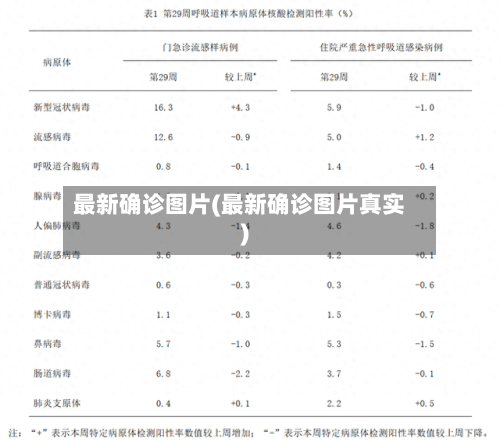最新确诊图片(最新确诊图片真实)-第3张图片