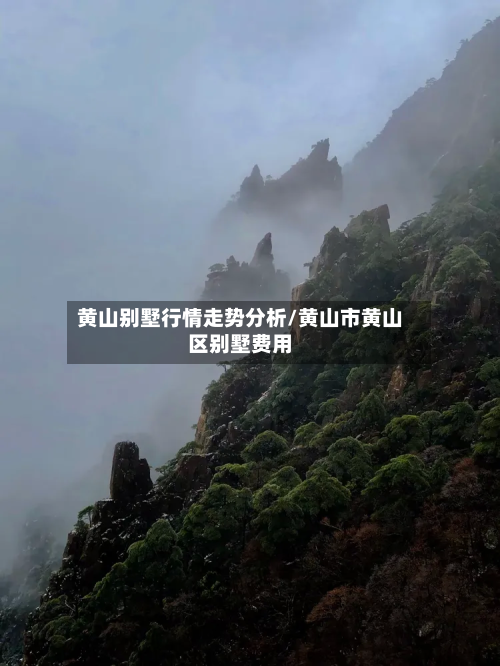 黄山别墅行情走势分析/黄山市黄山区别墅费用