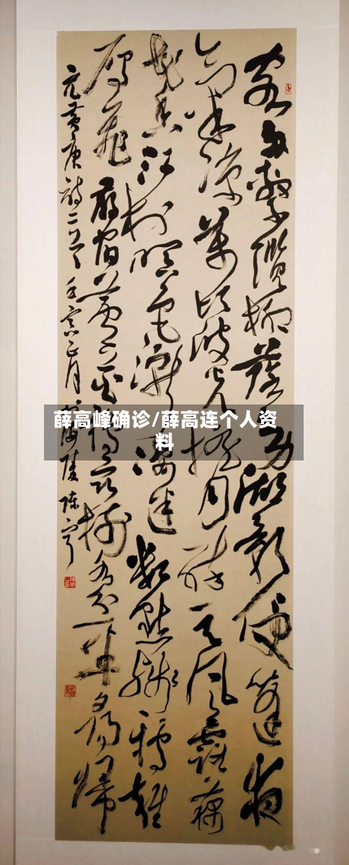 薛高峰确诊/薛高连个人资料-第3张图片
