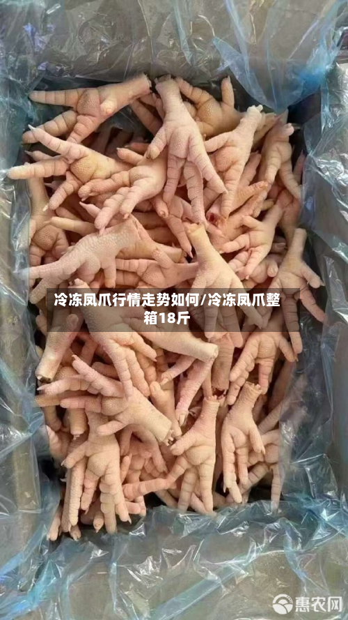 冷冻凤爪行情走势如何/冷冻凤爪整箱18斤