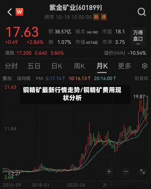 铜精矿最新行情走势/铜精矿费用现状分析-第2张图片