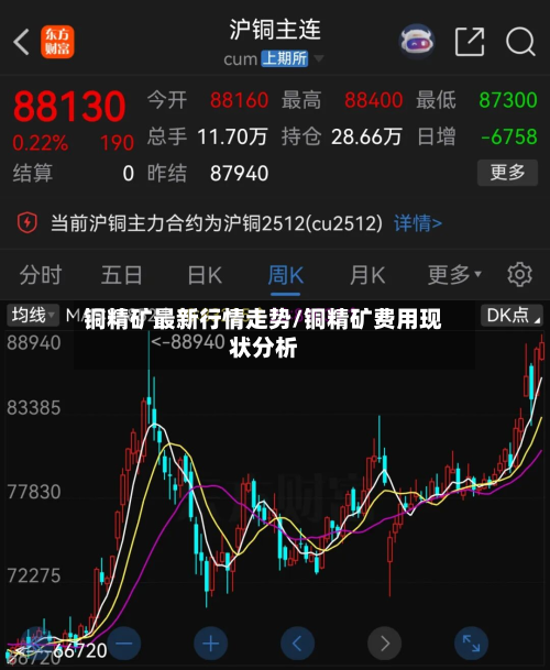 铜精矿最新行情走势/铜精矿费用现状分析-第3张图片