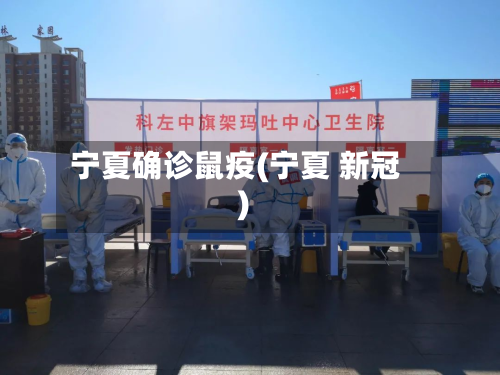 宁夏确诊鼠疫(宁夏 新冠)-第2张图片