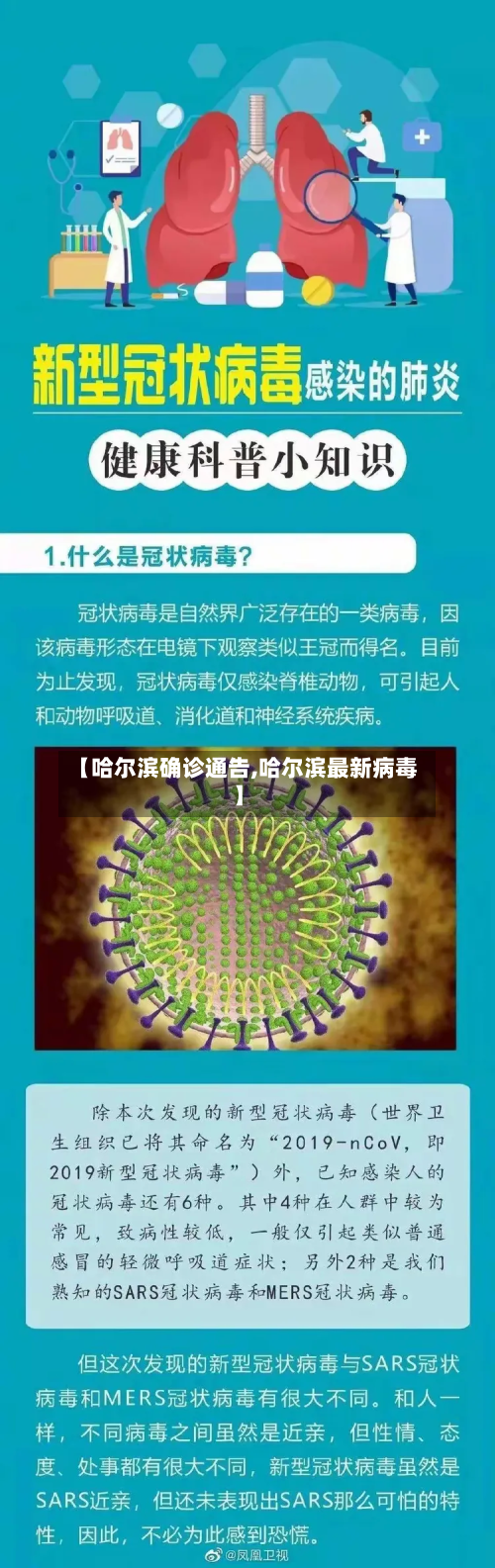 【哈尔滨确诊通告,哈尔滨最新病毒】