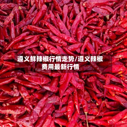 遵义鲜辣椒行情走势/遵义辣椒费用最新行情-第2张图片