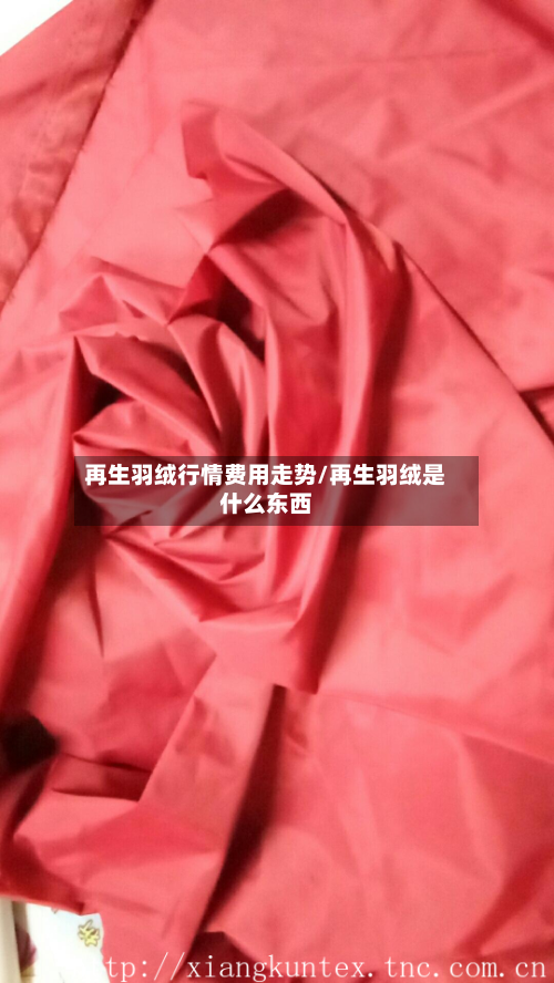 再生羽绒行情费用走势/再生羽绒是什么东西-第3张图片