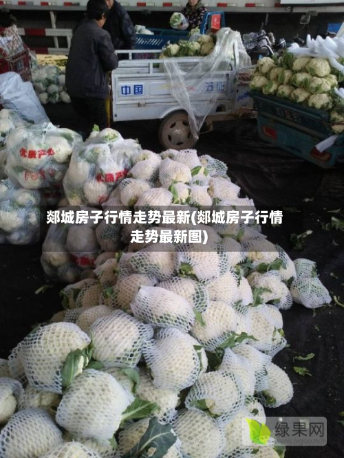 郯城房子行情走势最新(郯城房子行情走势最新图)