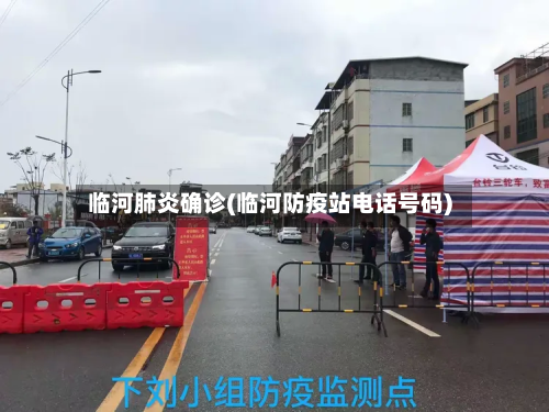 临河肺炎确诊(临河防疫站电话号码)-第3张图片