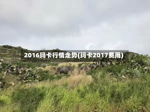 2016玛卡行情走势(玛卡2017费用)