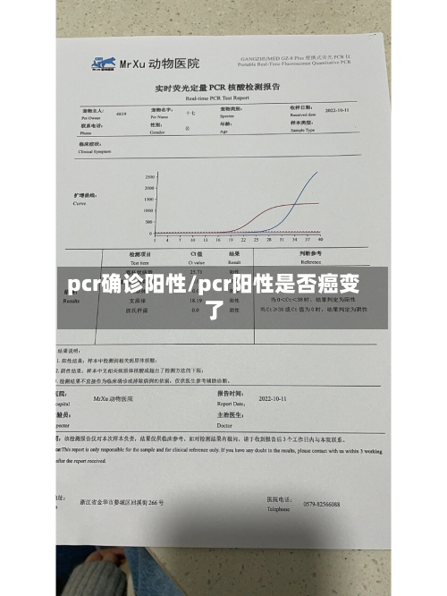pcr确诊阳性/pcr阳性是否癌变了