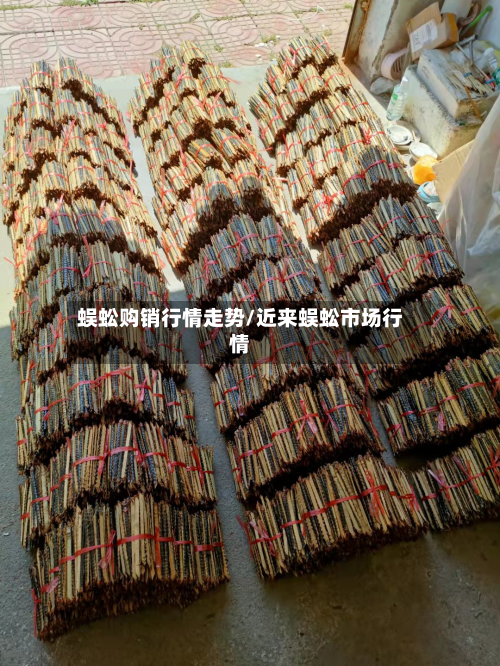 蜈蚣购销行情走势/近来蜈蚣市场行情