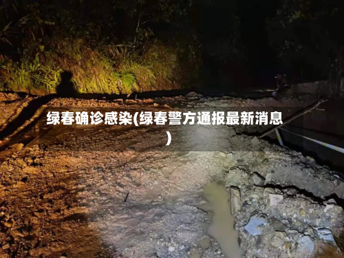 绿春确诊感染(绿春警方通报最新消息)-第2张图片