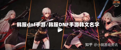 韩服dnf手游/韩服DNF手游韩文名字