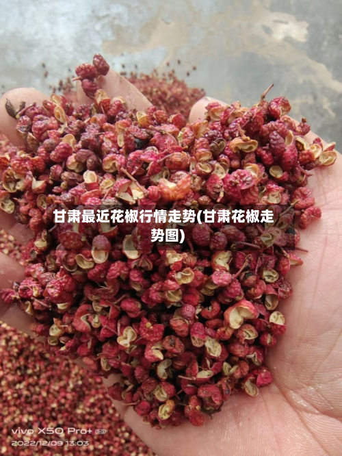 甘肃最近花椒行情走势(甘肃花椒走势图)-第2张图片