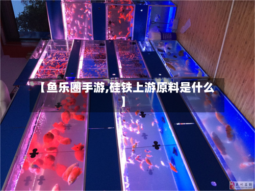 【鱼乐圈手游,硅铁上游原料是什么】-第3张图片