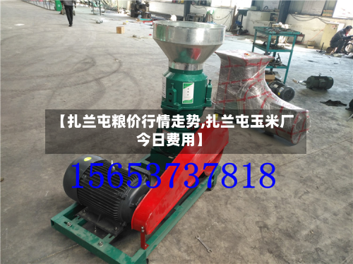 【扎兰屯粮价行情走势,扎兰屯玉米厂今日费用】