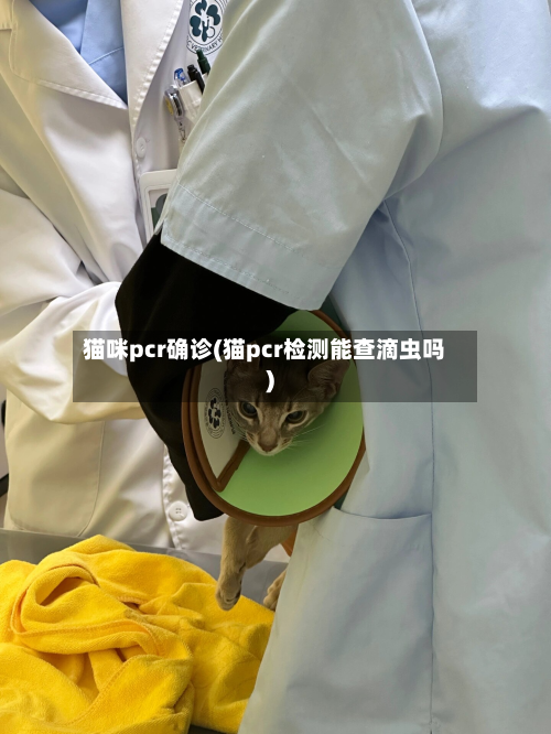 猫咪pcr确诊(猫pcr检测能查滴虫吗)-第2张图片