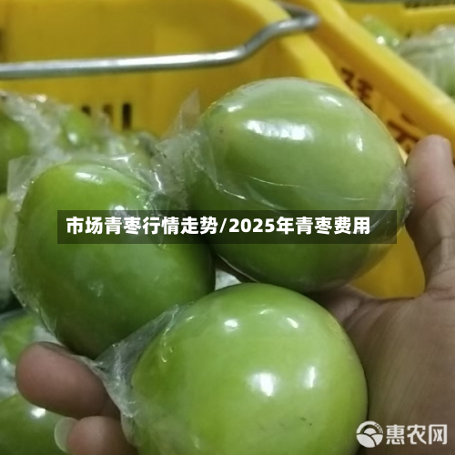 市场青枣行情走势/2025年青枣费用-第2张图片