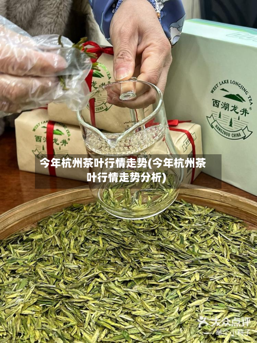 今年杭州茶叶行情走势(今年杭州茶叶行情走势分析)