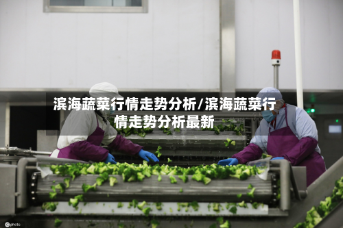 滨海蔬菜行情走势分析/滨海蔬菜行情走势分析最新