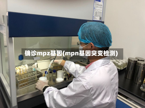 确诊mpz基因(mpn基因突变检测)-第2张图片