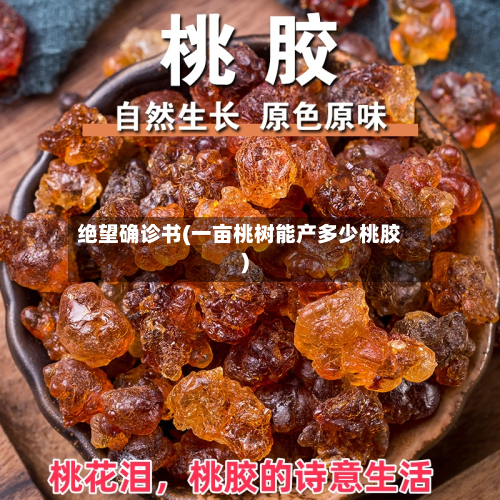 绝望确诊书(一亩桃树能产多少桃胶)