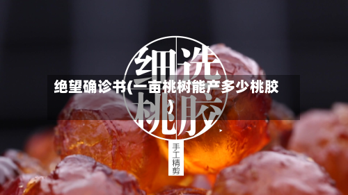 绝望确诊书(一亩桃树能产多少桃胶)-第2张图片