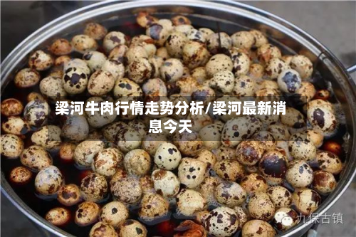 梁河牛肉行情走势分析/梁河最新消息今天-第2张图片